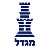 מגדל